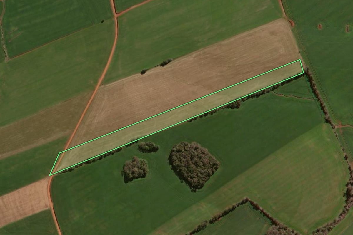 Imagem de satélite do imóvel rural em Espumoso (RS), com o contorno declarado no CAR desenhado por cima.