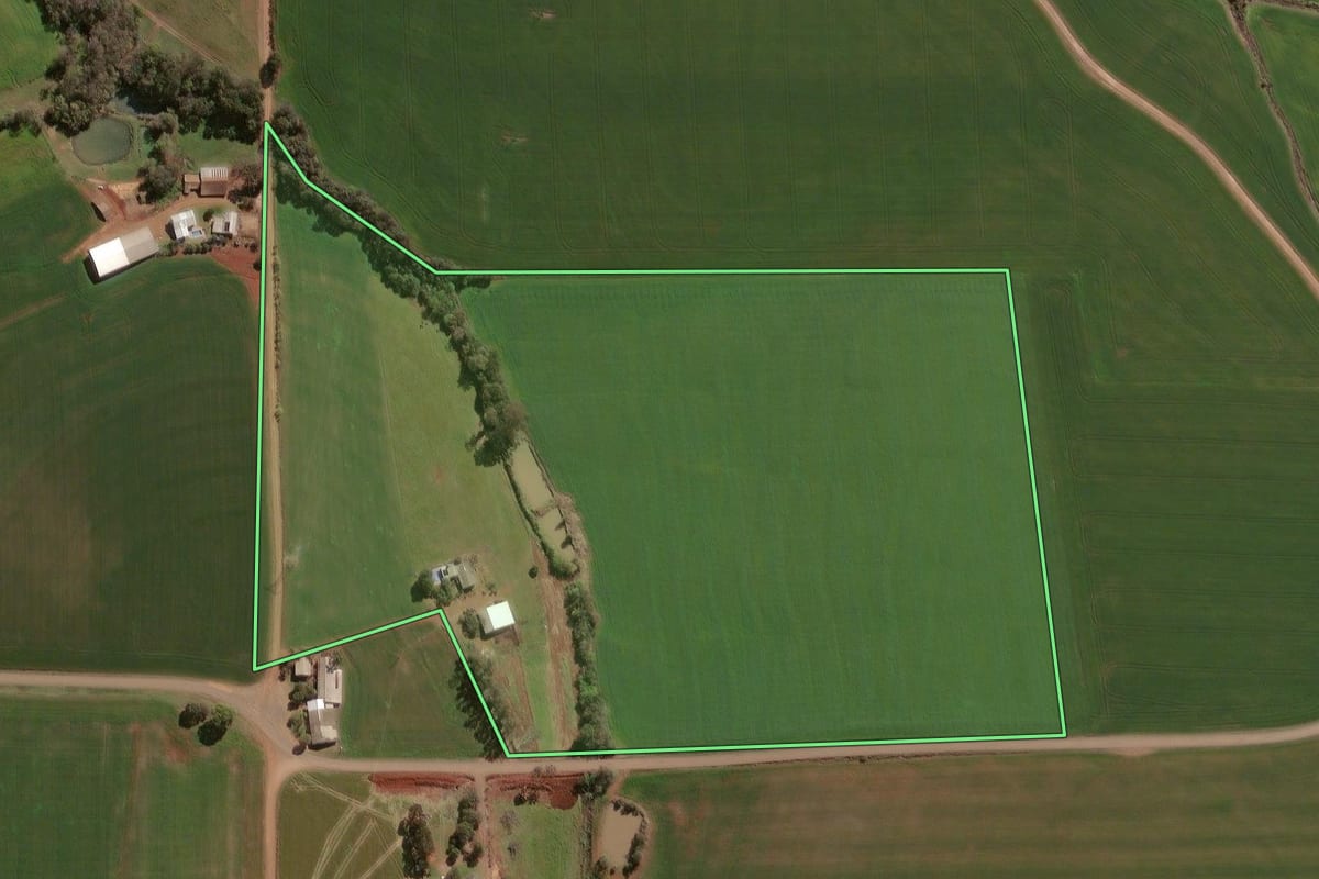Imagem de satélite do imóvel rural em Espumoso (RS), com o contorno declarado no CAR desenhado por cima.