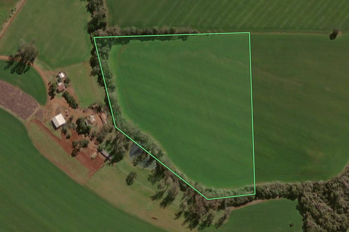 Imagem de satélite do imóvel rural em Espumoso (RS), com o contorno declarado no CAR desenhado por cima.