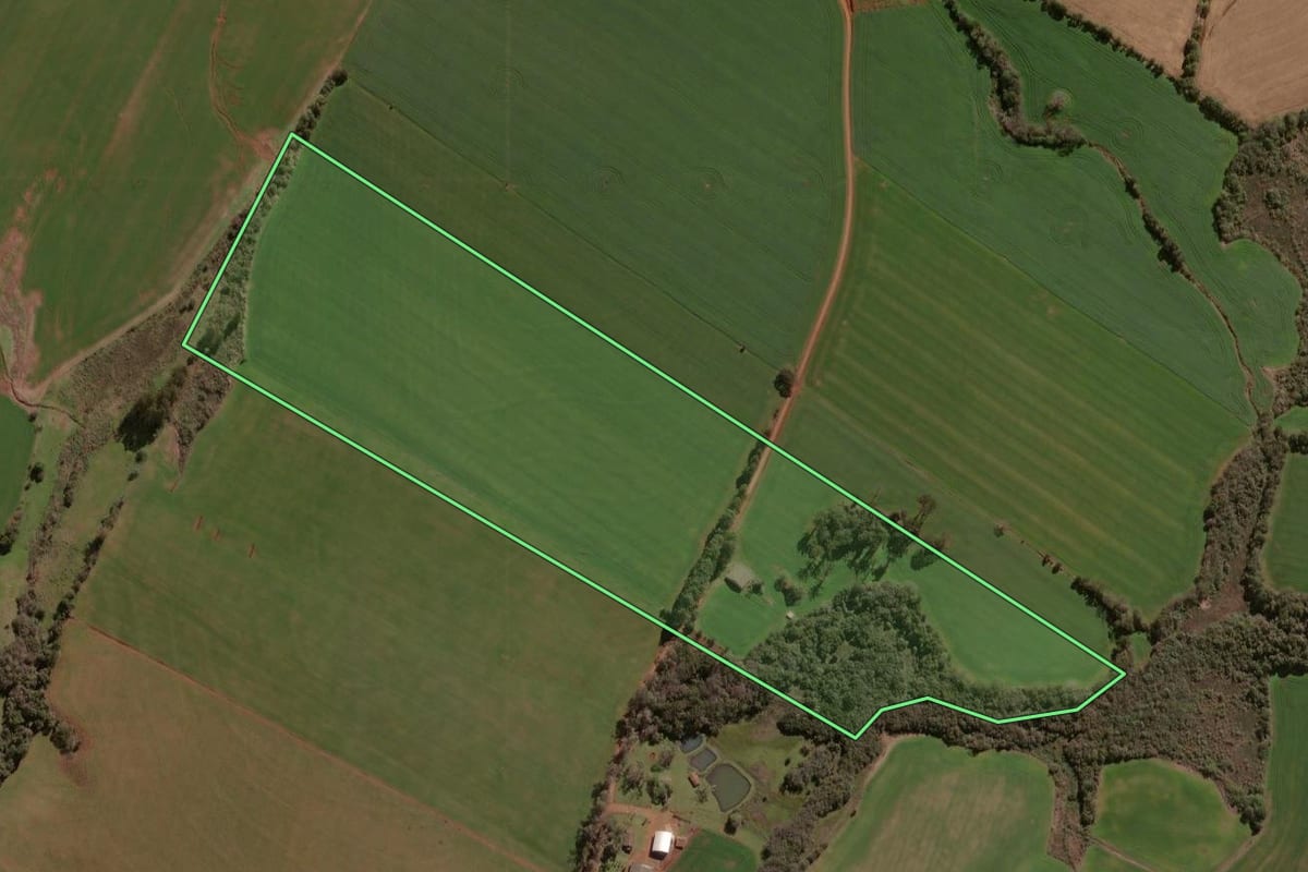 Imagem de satélite do imóvel rural em Espumoso (RS), com o contorno declarado no CAR desenhado por cima.