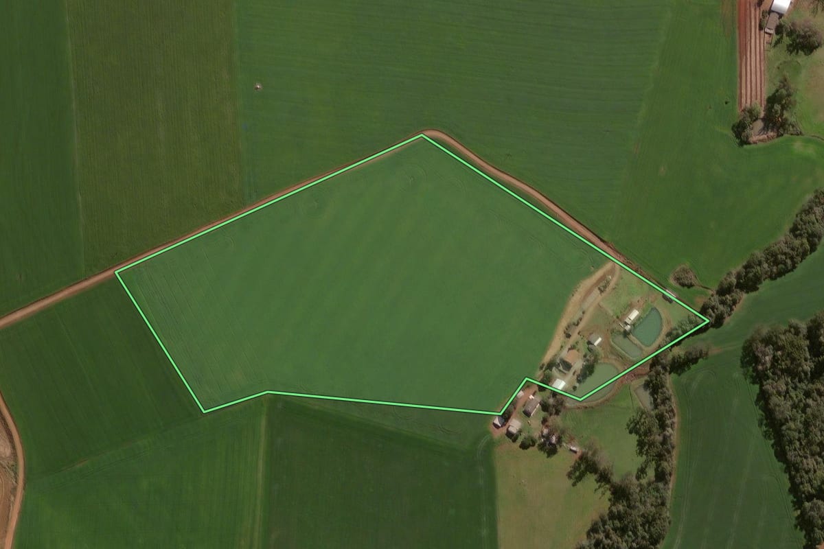 Imagem de satélite do imóvel rural em Espumoso (RS), com o contorno declarado no CAR desenhado por cima.