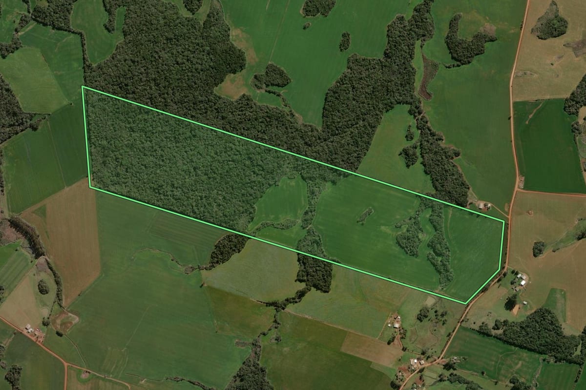 Imagem de satélite do imóvel rural em Espumoso (RS), com o contorno declarado no CAR desenhado por cima.