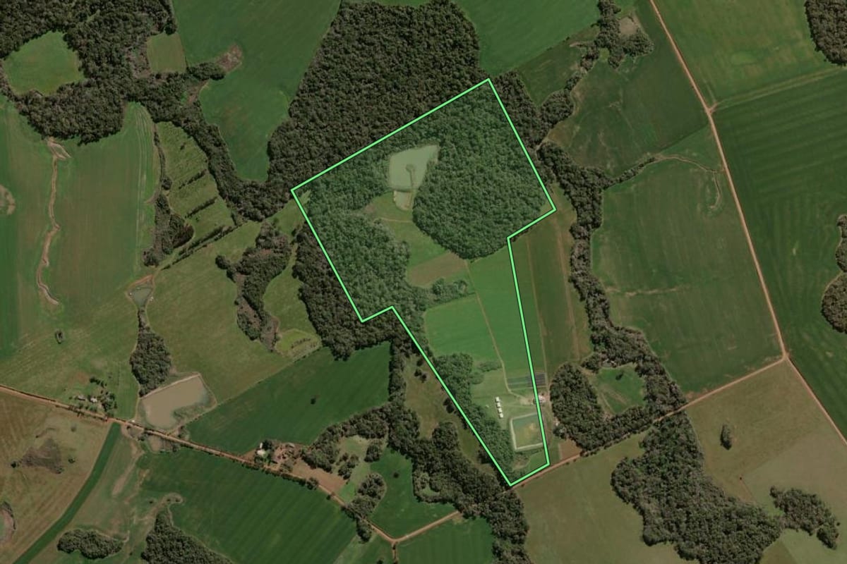 Imagem de satélite do imóvel rural em Espumoso (RS), com o contorno declarado no CAR desenhado por cima.