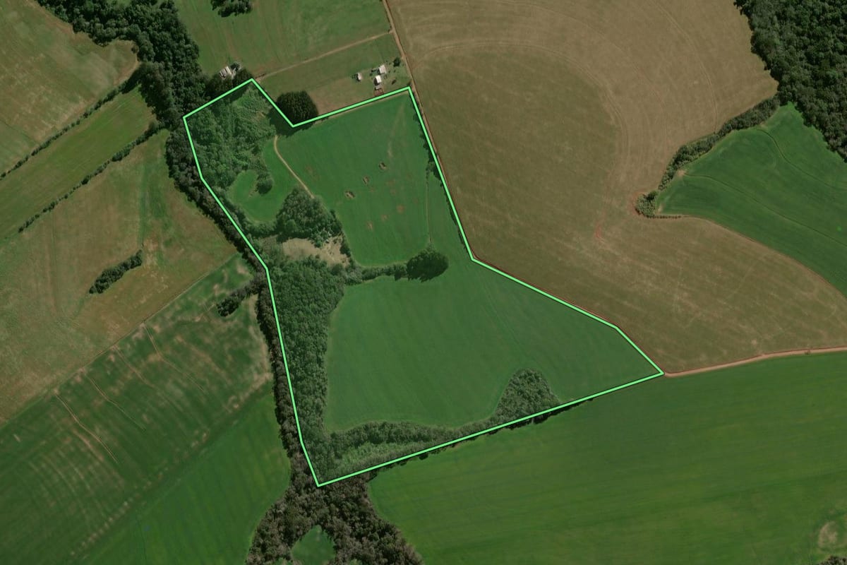 Imagem de satélite do imóvel rural em Espumoso (RS), com o contorno declarado no CAR desenhado por cima.