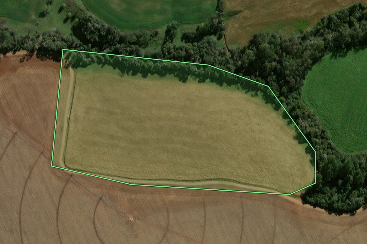 Imagem de satélite do imóvel rural em Espumoso (RS), com o contorno declarado no CAR desenhado por cima.