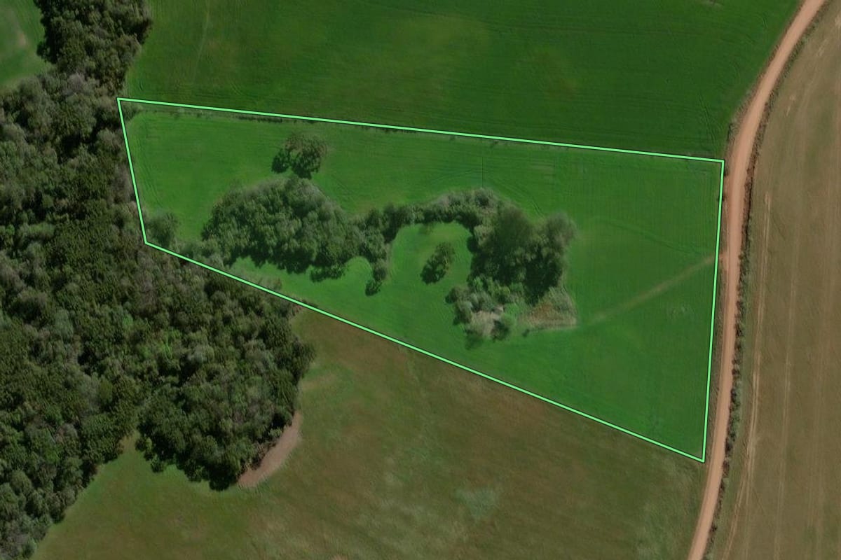 Imagem de satélite do imóvel rural em Espumoso (RS), com o contorno declarado no CAR desenhado por cima.