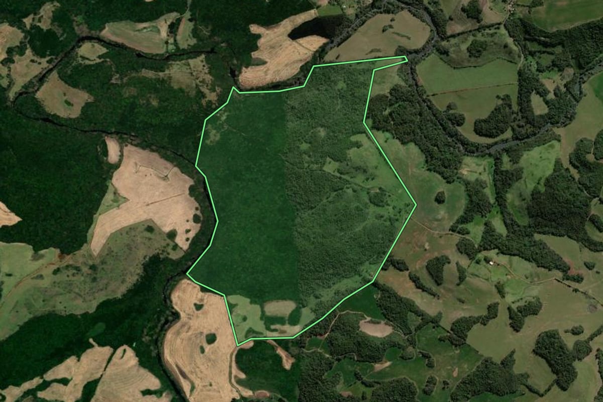 Imagem de satélite do imóvel rural em Espumoso (RS), com o contorno declarado no CAR desenhado por cima.
