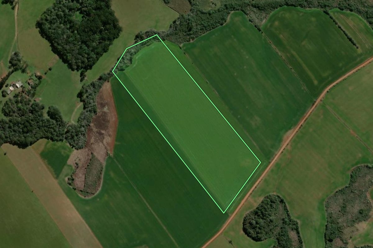 Imagem de satélite do imóvel rural em Espumoso (RS), com o contorno declarado no CAR desenhado por cima.