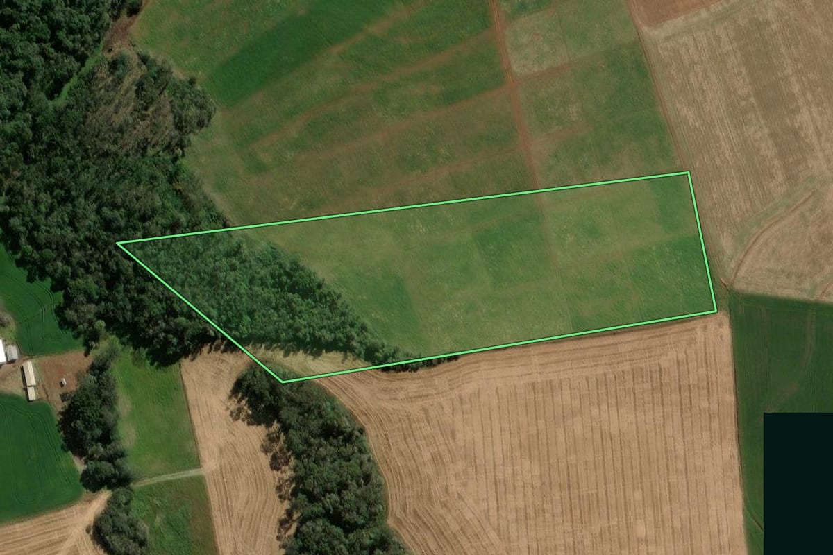 Imagem de satélite do imóvel rural em Espumoso (RS), com o contorno declarado no CAR desenhado por cima.
