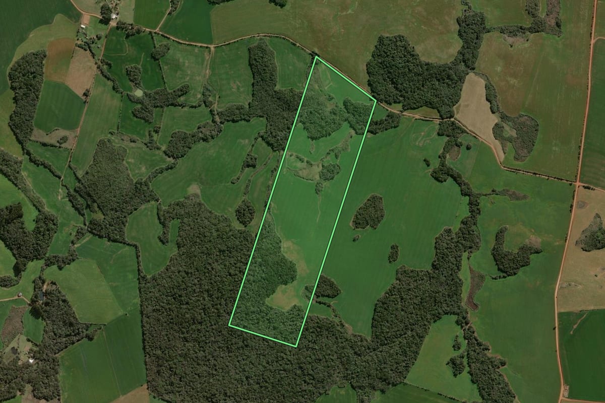 Imagem de satélite do imóvel rural em Espumoso (RS), com o contorno declarado no CAR desenhado por cima.