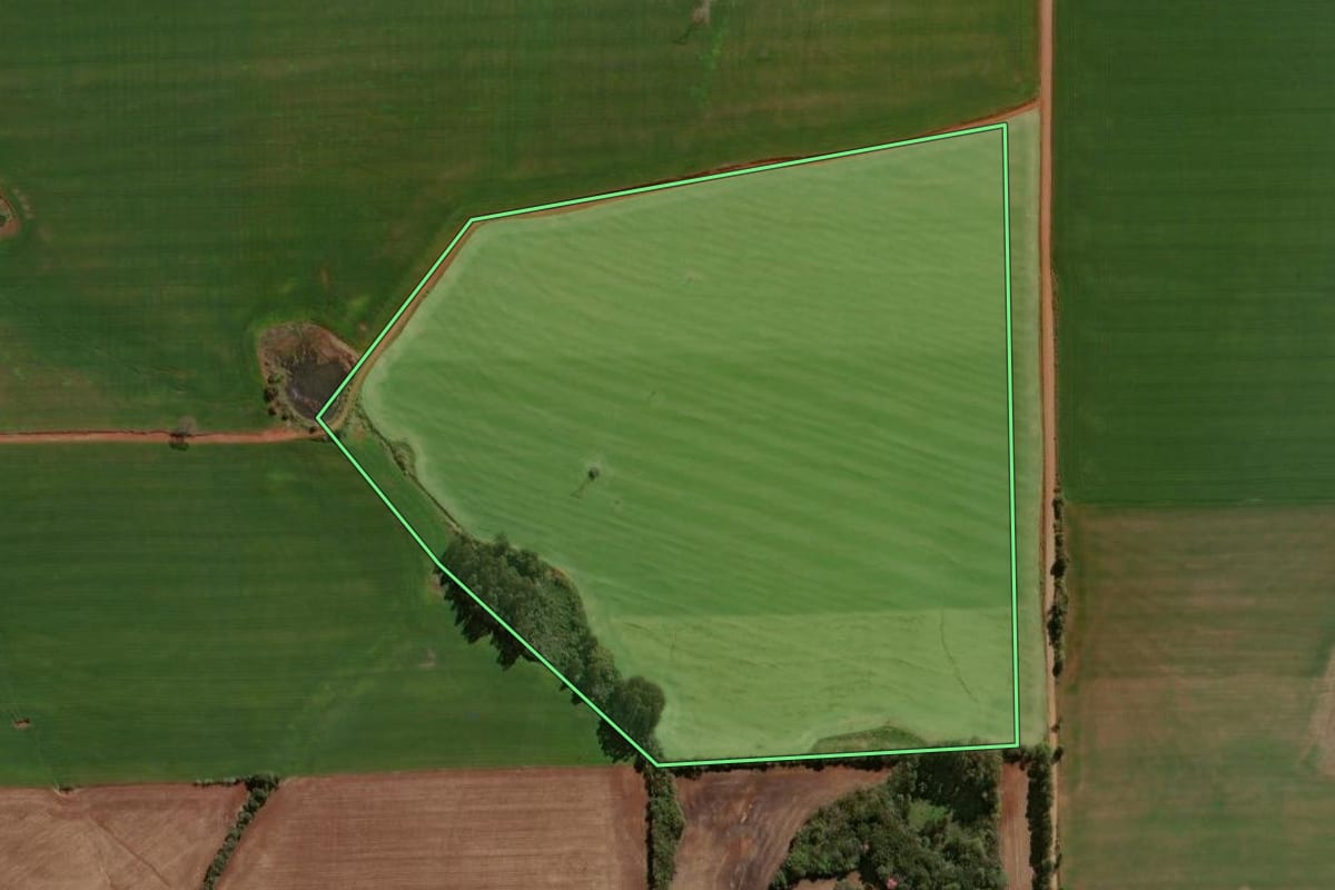 Imagem de satélite do imóvel rural em Espumoso (RS), com o contorno declarado no CAR desenhado por cima.