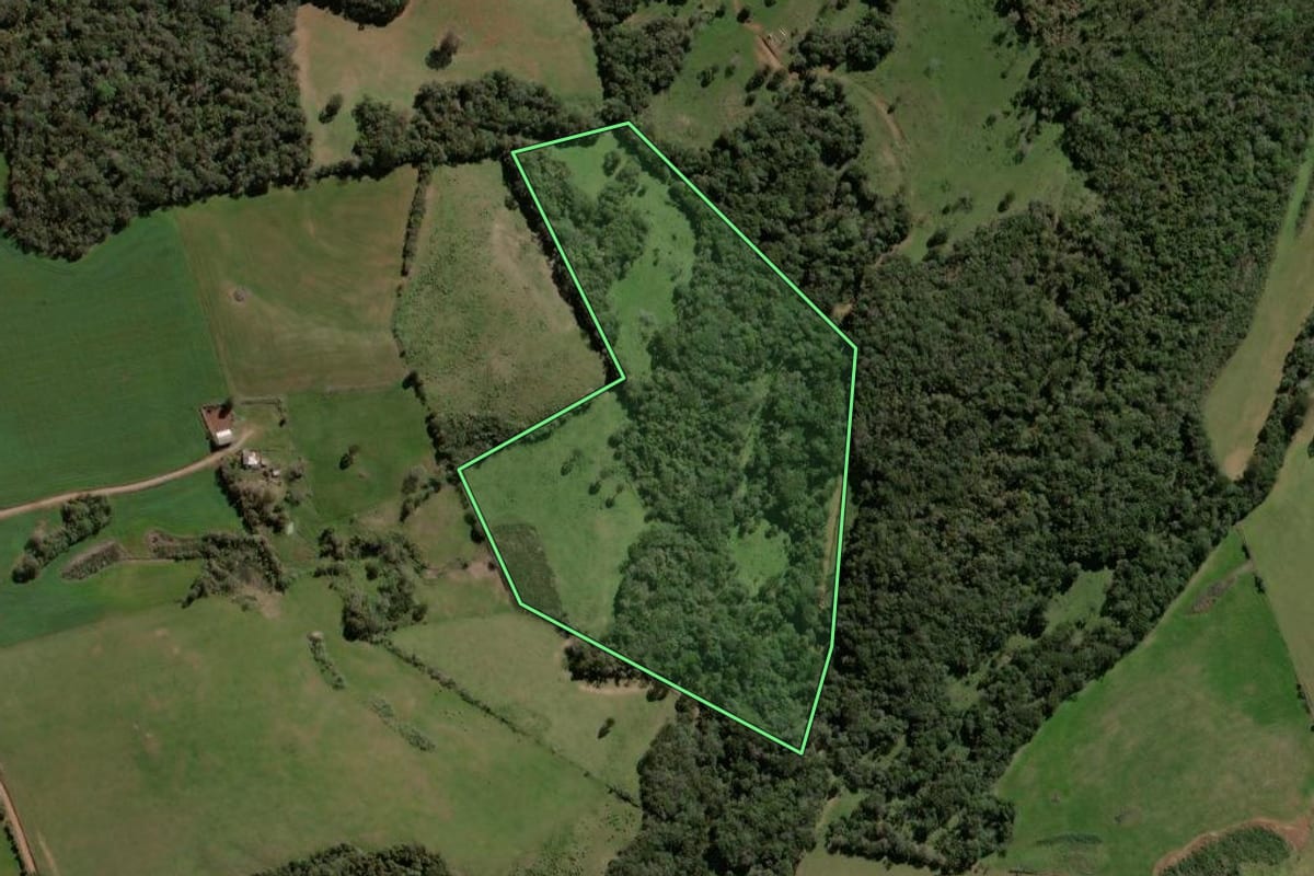 Imagem de satélite do imóvel rural em Espumoso (RS), com o contorno declarado no CAR desenhado por cima.
