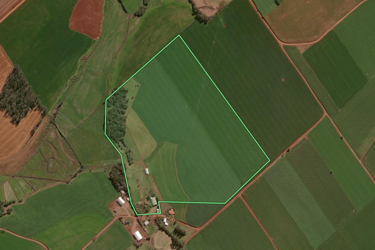 Imagem de satélite do imóvel rural em Espumoso (RS), com o contorno declarado no CAR desenhado por cima.