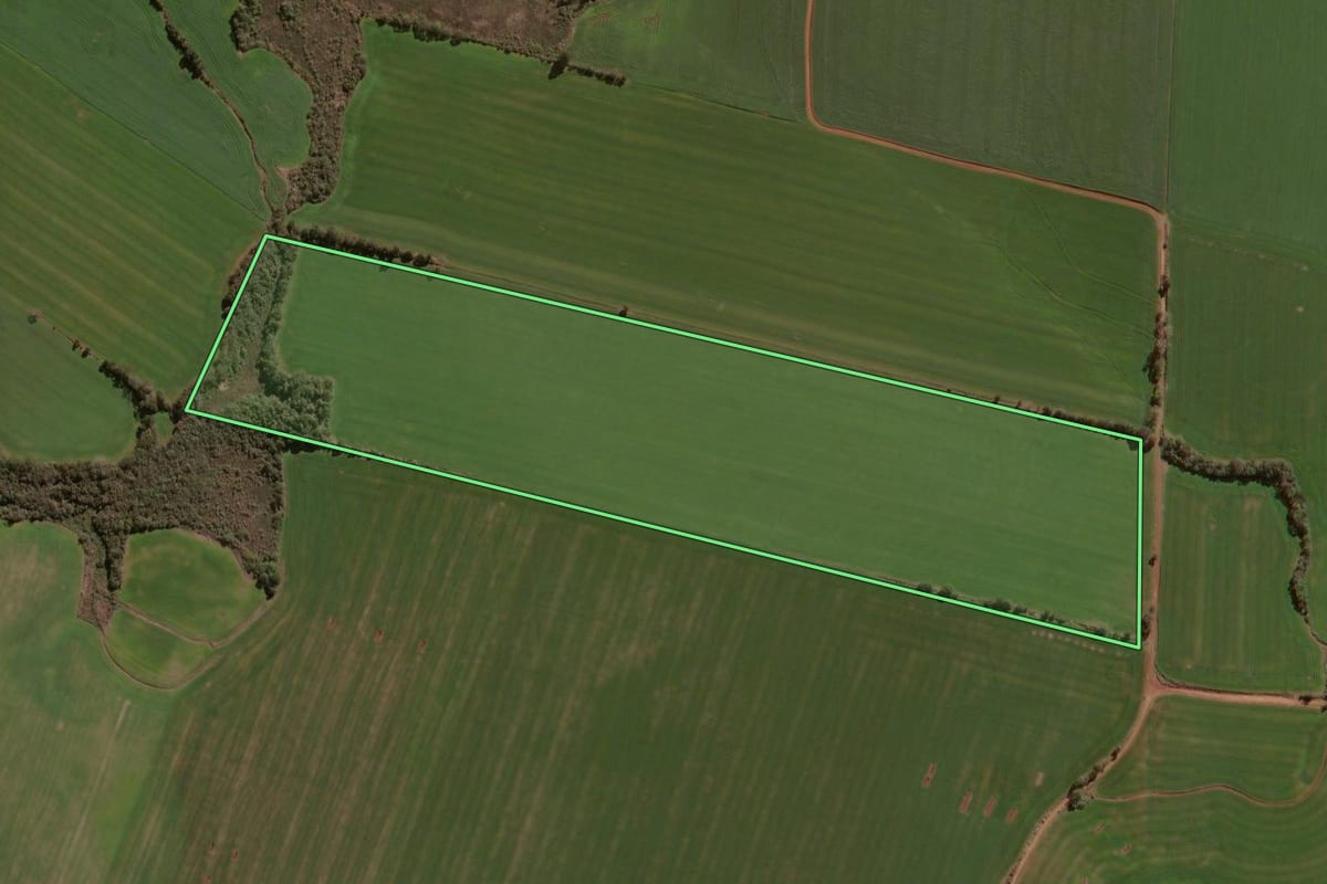 Imagem de satélite do imóvel rural em Espumoso (RS), com o contorno declarado no CAR desenhado por cima.