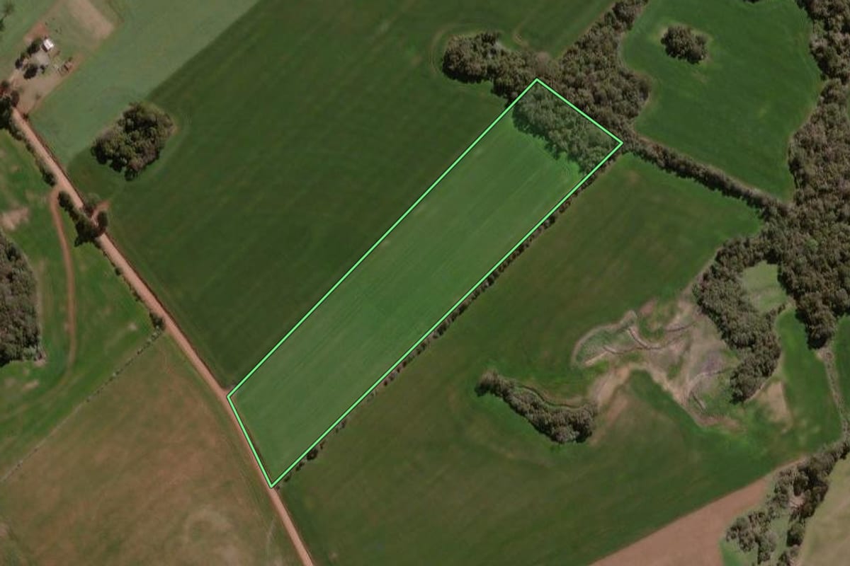 Imagem de satélite do imóvel rural em Espumoso (RS), com o contorno declarado no CAR desenhado por cima.