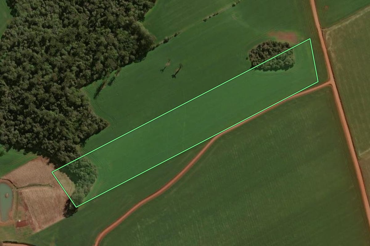 Imagem de satélite do imóvel rural em Espumoso (RS), com o contorno declarado no CAR desenhado por cima.