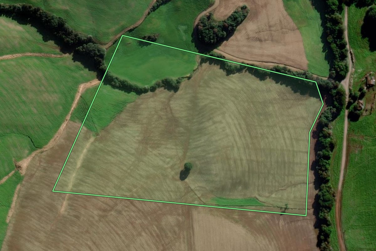Imagem de satélite do imóvel rural em Estação (RS), com o contorno declarado no CAR desenhado por cima.