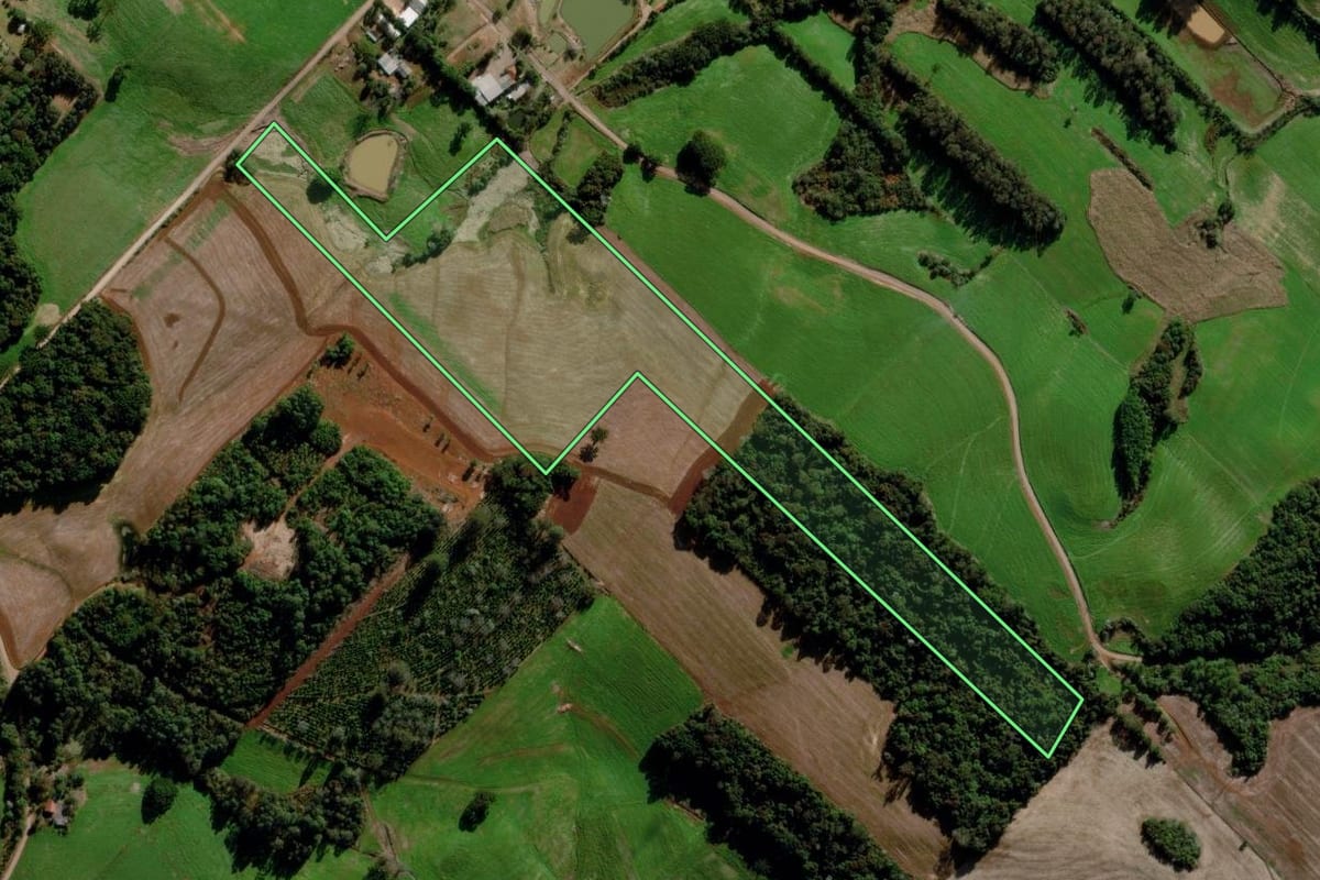 Imagem de satélite do imóvel rural em Estação (RS), com o contorno declarado no CAR desenhado por cima.