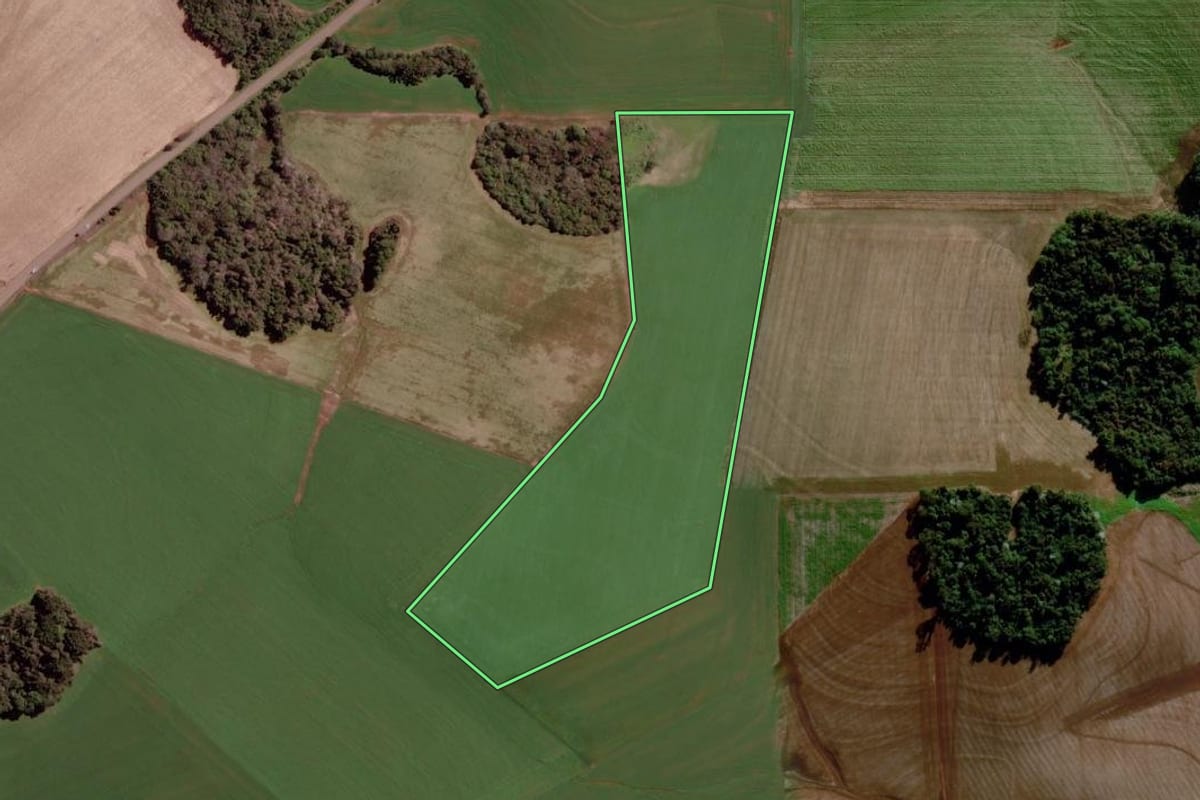Imagem de satélite do imóvel rural em Estação (RS), com o contorno declarado no CAR desenhado por cima.