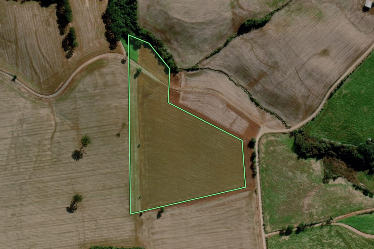 Imagem de satélite do imóvel rural em Estação (RS), com o contorno declarado no CAR desenhado por cima.