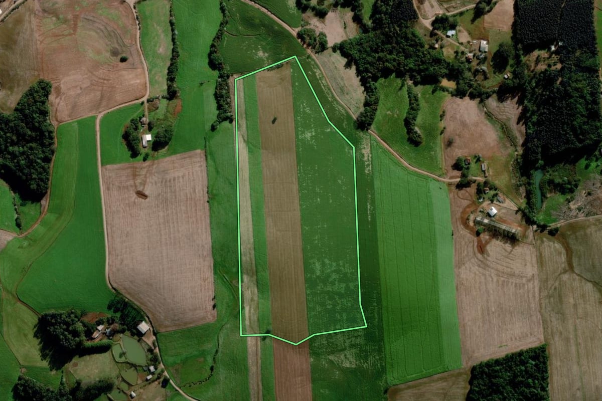 Imagem de satélite do imóvel rural em Estação (RS), com o contorno declarado no CAR desenhado por cima.