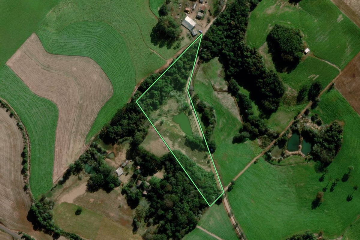 Imagem de satélite do imóvel rural em Estação (RS), com o contorno declarado no CAR desenhado por cima.