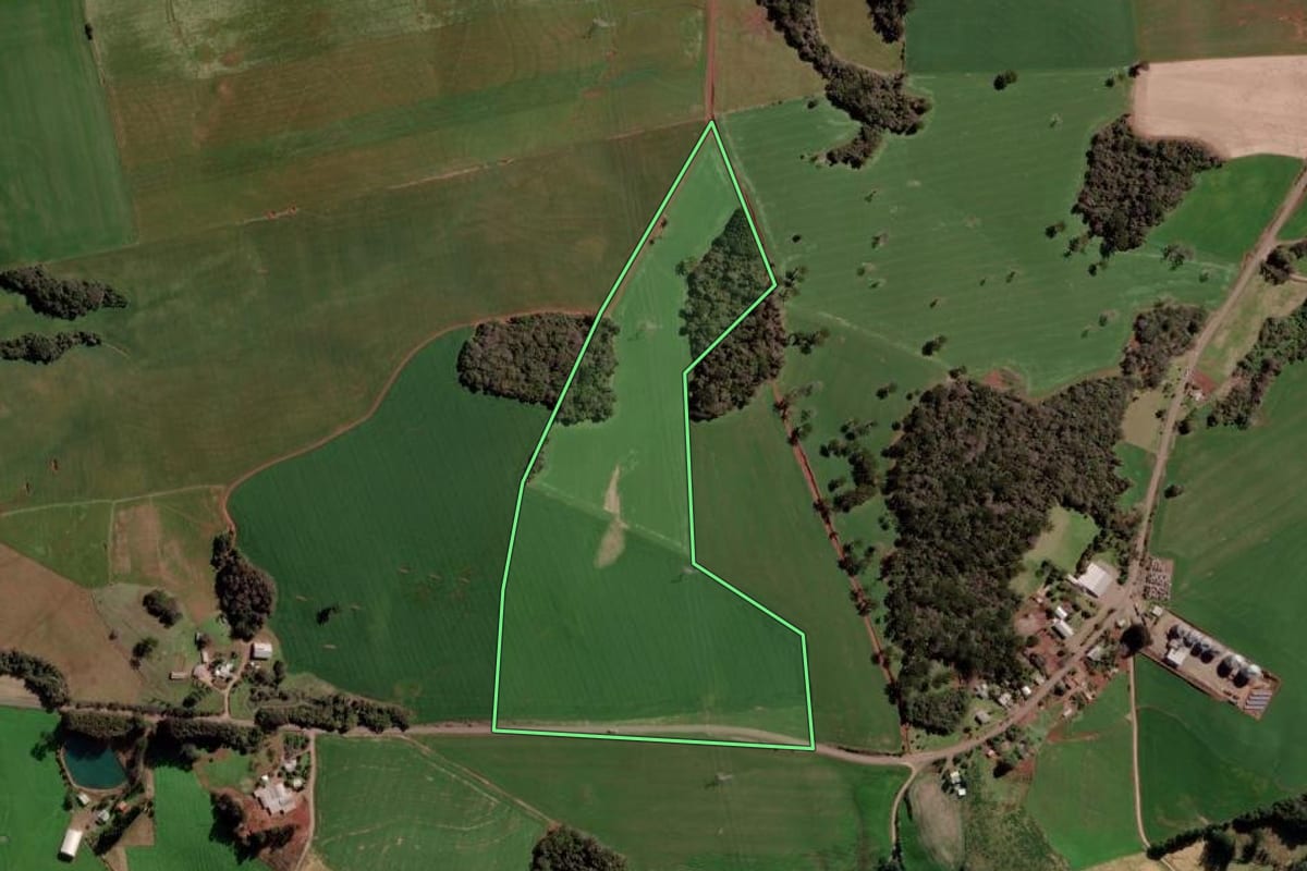 Imagem de satélite do imóvel rural em Estação (RS), com o contorno declarado no CAR desenhado por cima.