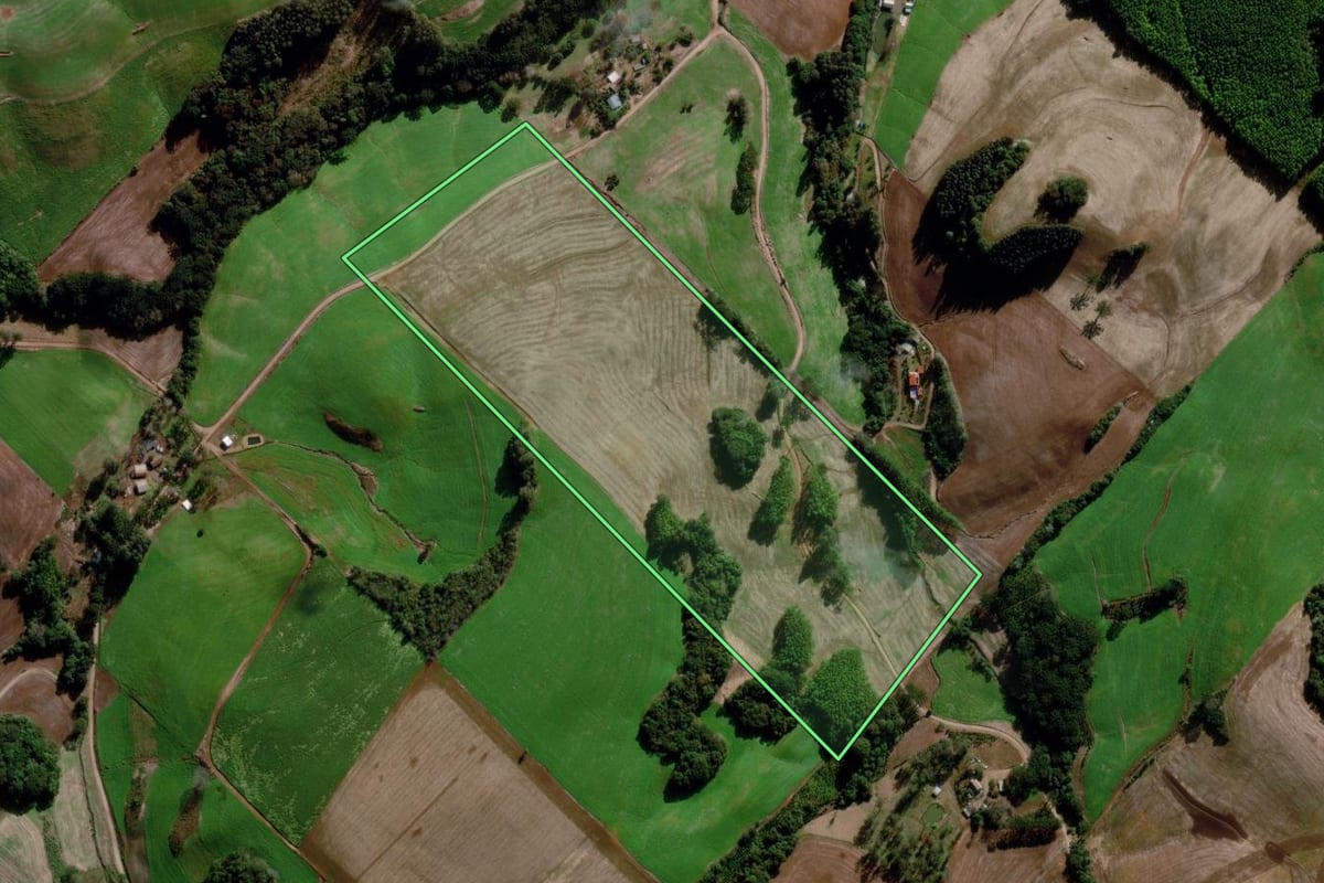 Imagem de satélite do imóvel rural em Estação (RS), com o contorno declarado no CAR desenhado por cima.