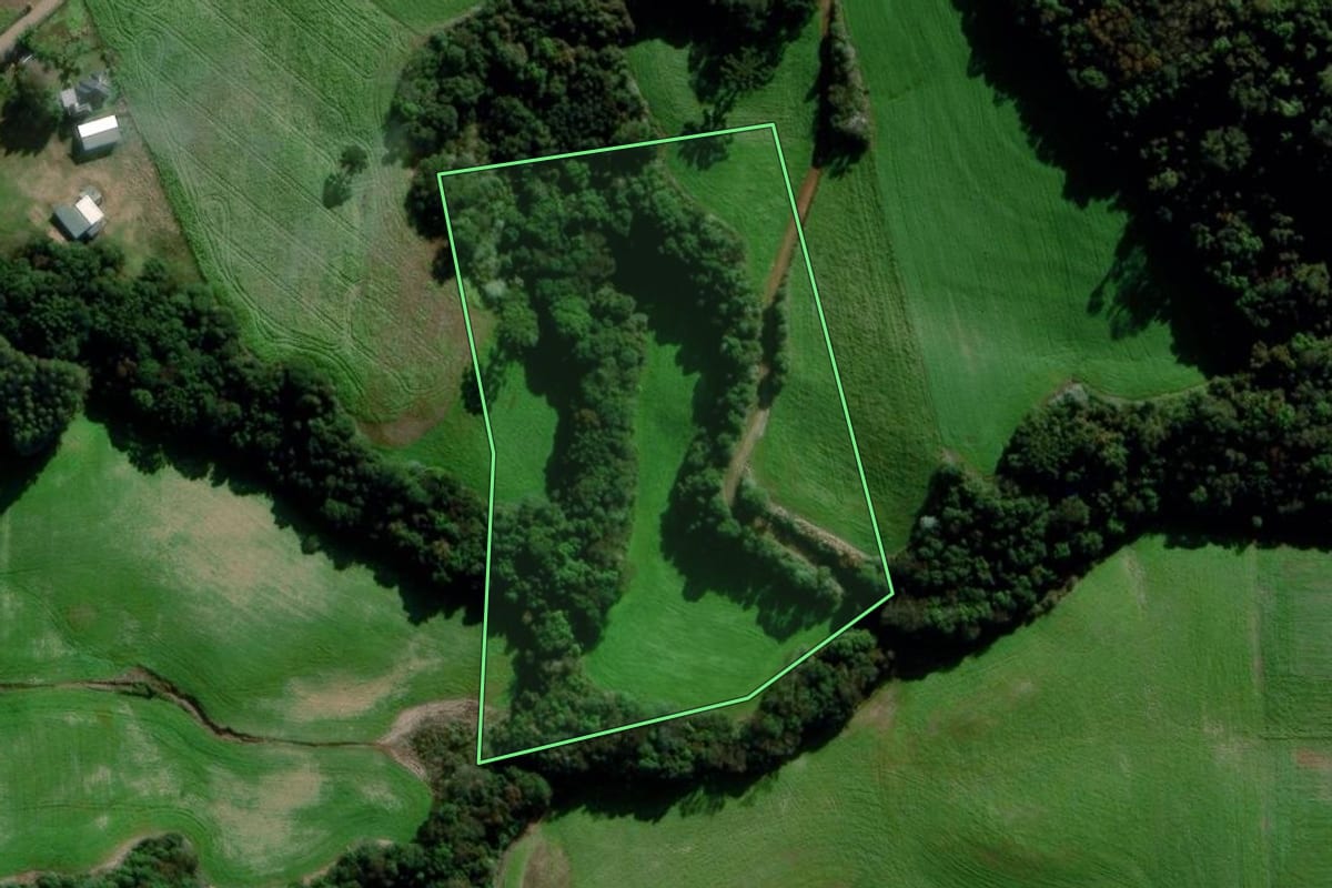 Imagem de satélite do imóvel rural em Estação (RS), com o contorno declarado no CAR desenhado por cima.