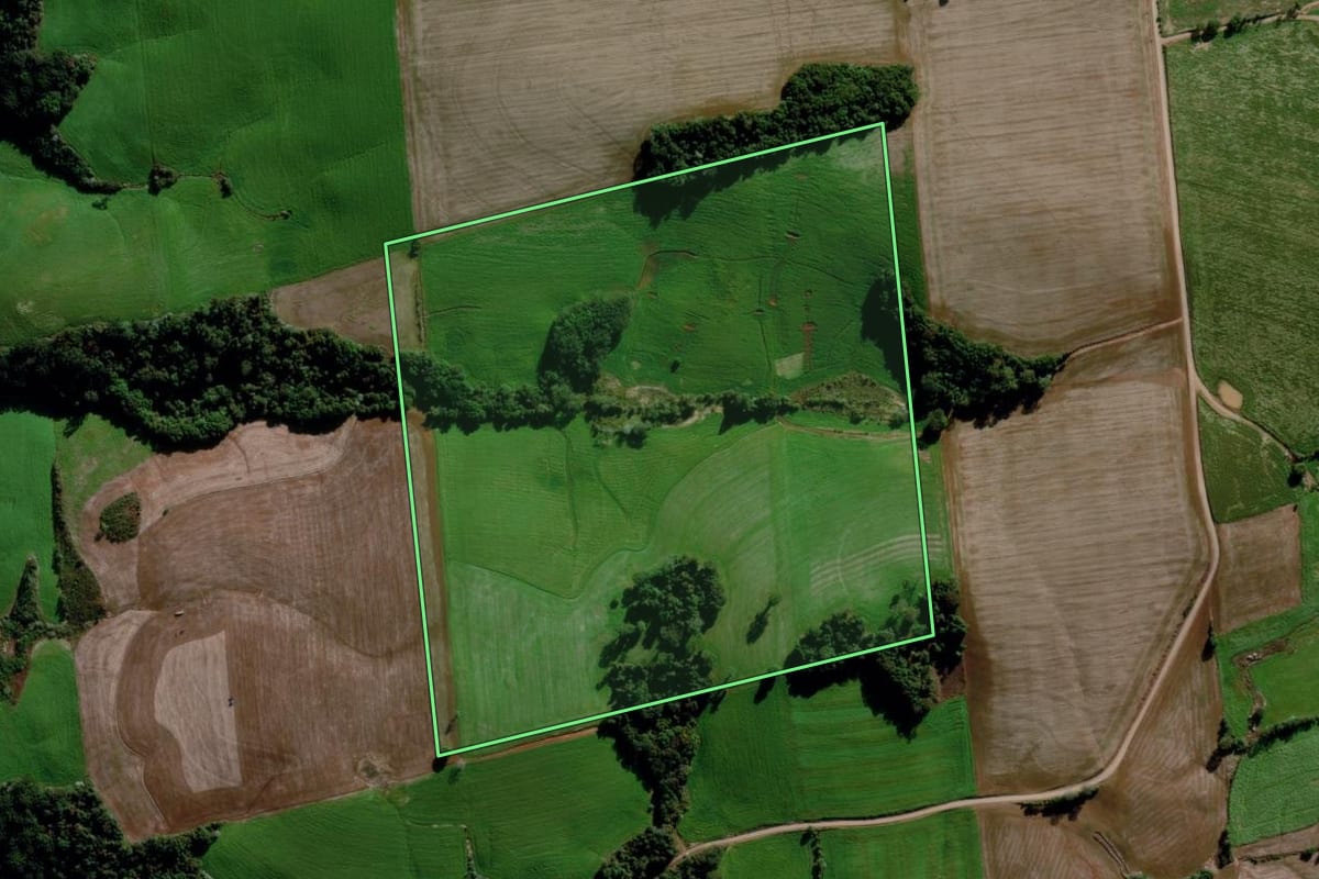 Imagem de satélite do imóvel rural em Estação (RS), com o contorno declarado no CAR desenhado por cima.