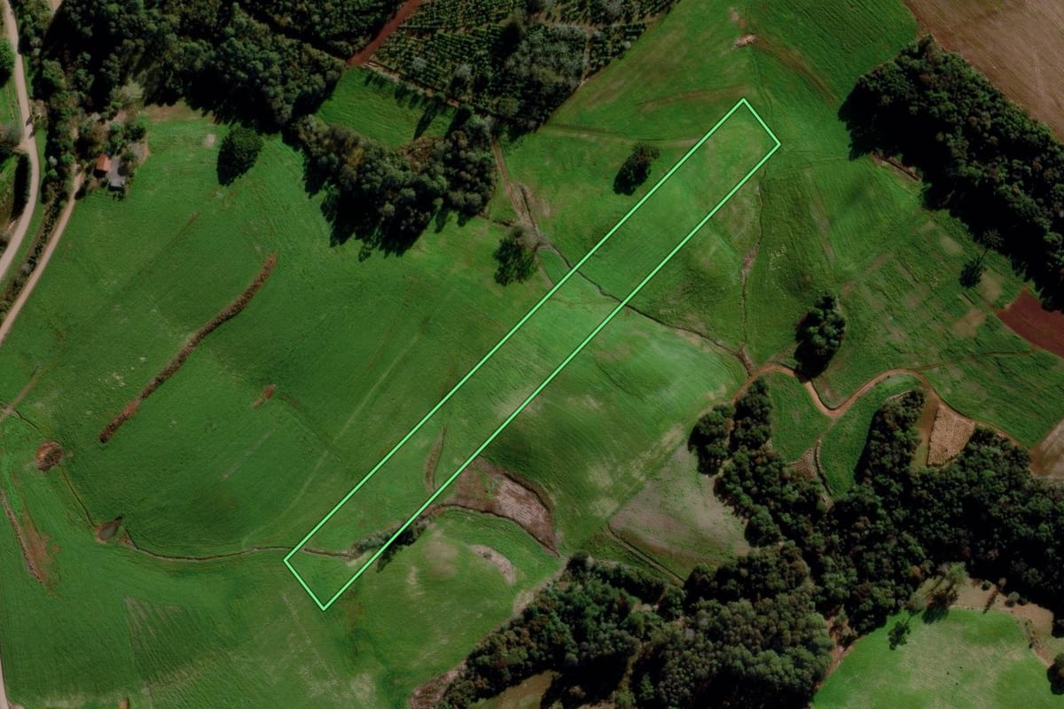Imagem de satélite do imóvel rural em Estação (RS), com o contorno declarado no CAR desenhado por cima.