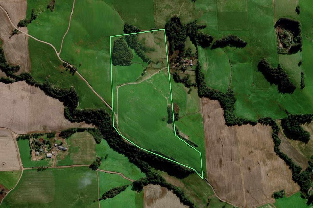 Imagem de satélite do imóvel rural em Estação (RS), com o contorno declarado no CAR desenhado por cima.