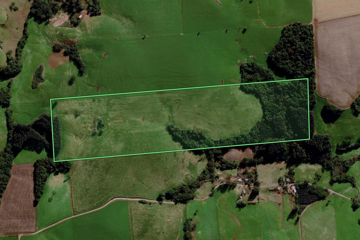 Imagem de satélite do imóvel rural em Estação (RS), com o contorno declarado no CAR desenhado por cima.