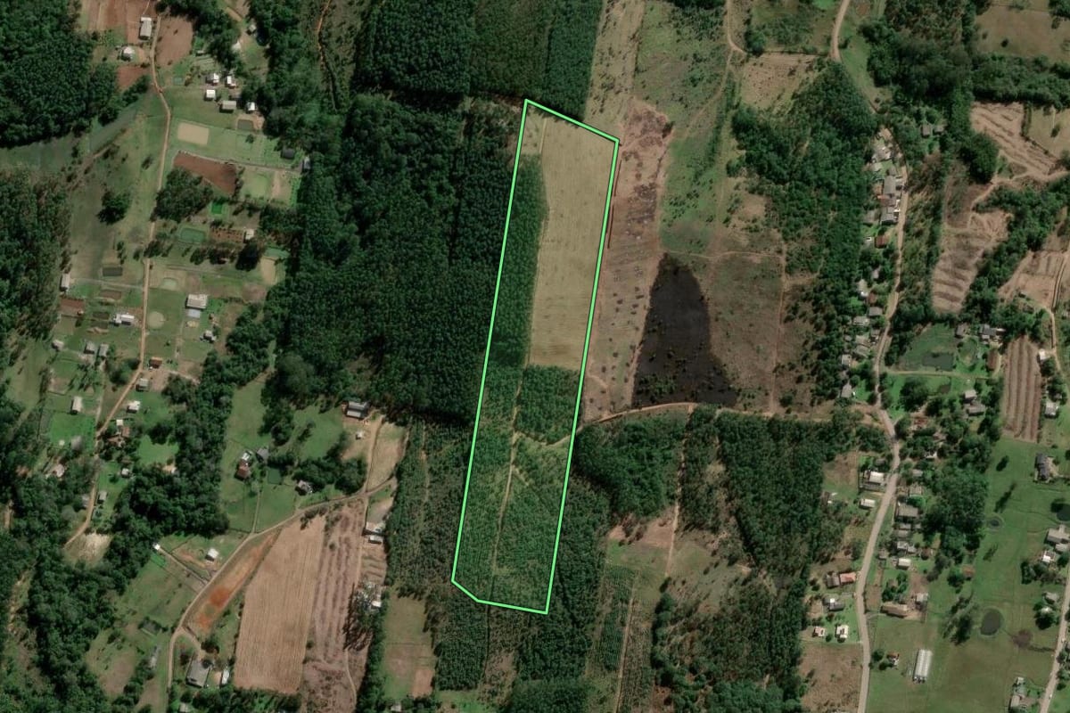 Imagem de satélite do imóvel rural em Estância Velha (RS), com o contorno declarado no CAR desenhado por cima.
