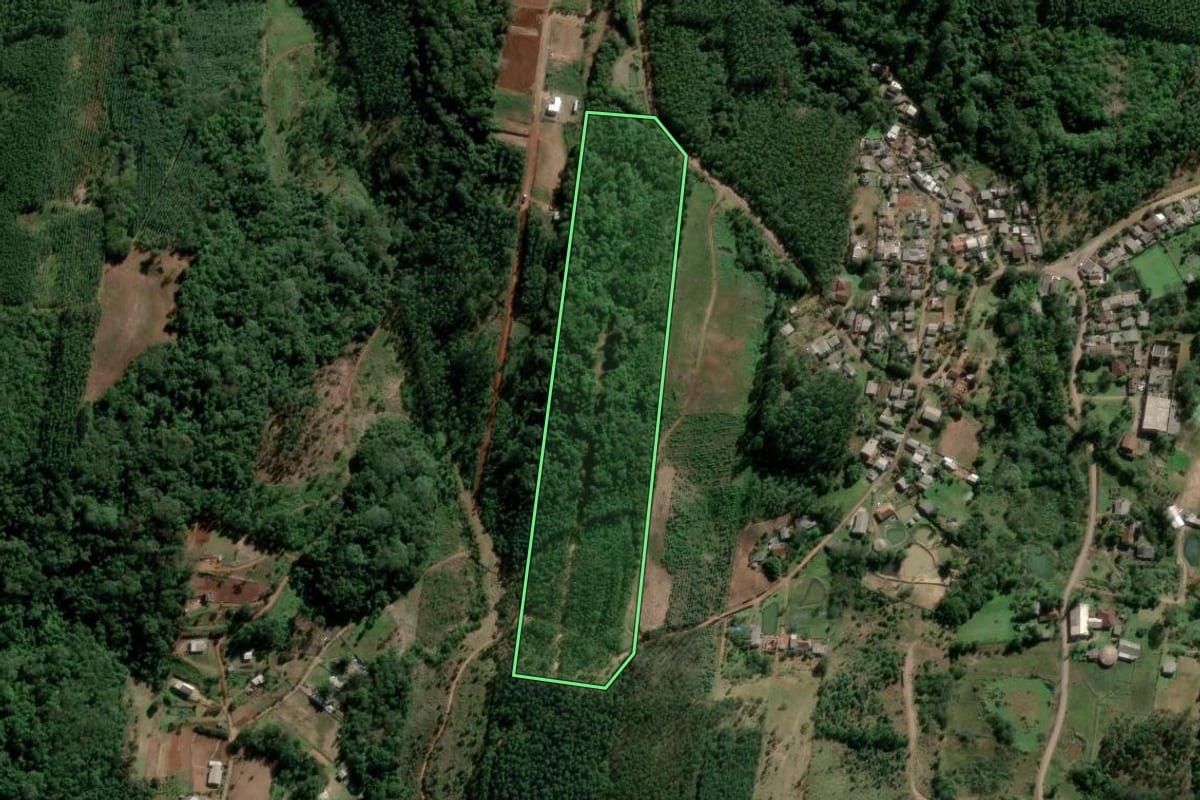 Imagem de satélite do imóvel rural em Estância Velha (RS), com o contorno declarado no CAR desenhado por cima.