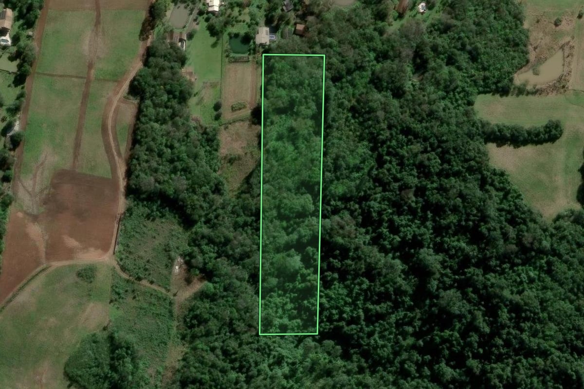 Imagem de satélite do imóvel rural em Estância Velha (RS), com o contorno declarado no CAR desenhado por cima.