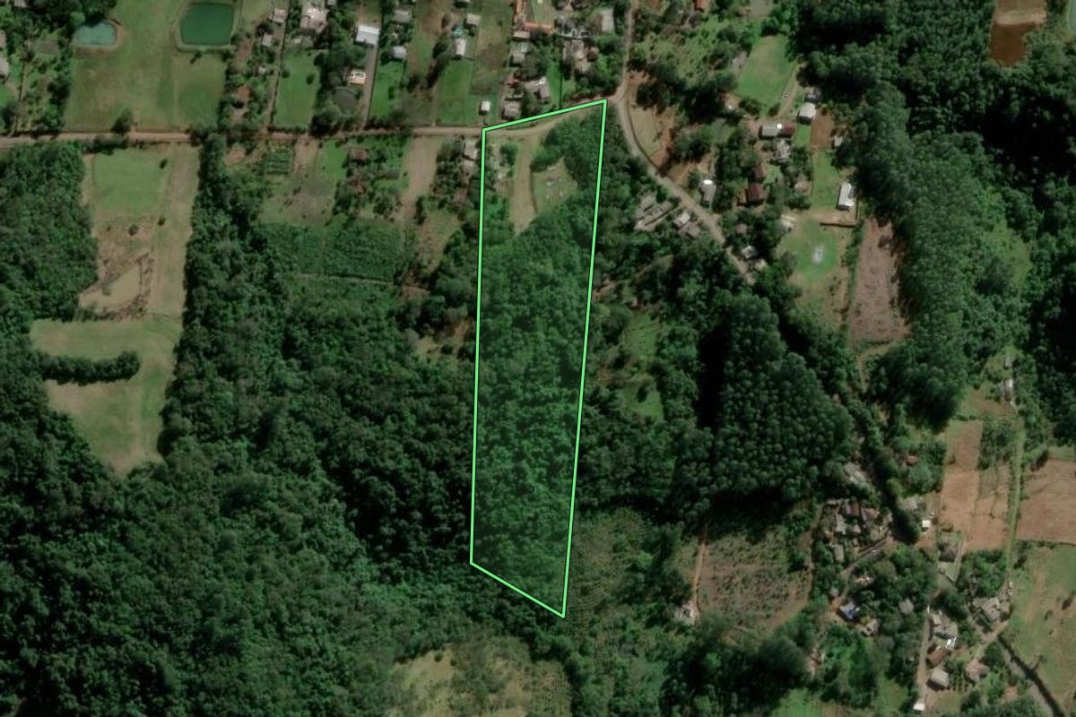Imagem de satélite do imóvel rural em Estância Velha (RS), com o contorno declarado no CAR desenhado por cima.