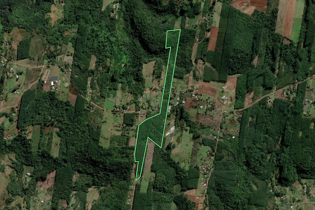 Imagem de satélite do imóvel rural em Estância Velha (RS), com o contorno declarado no CAR desenhado por cima.