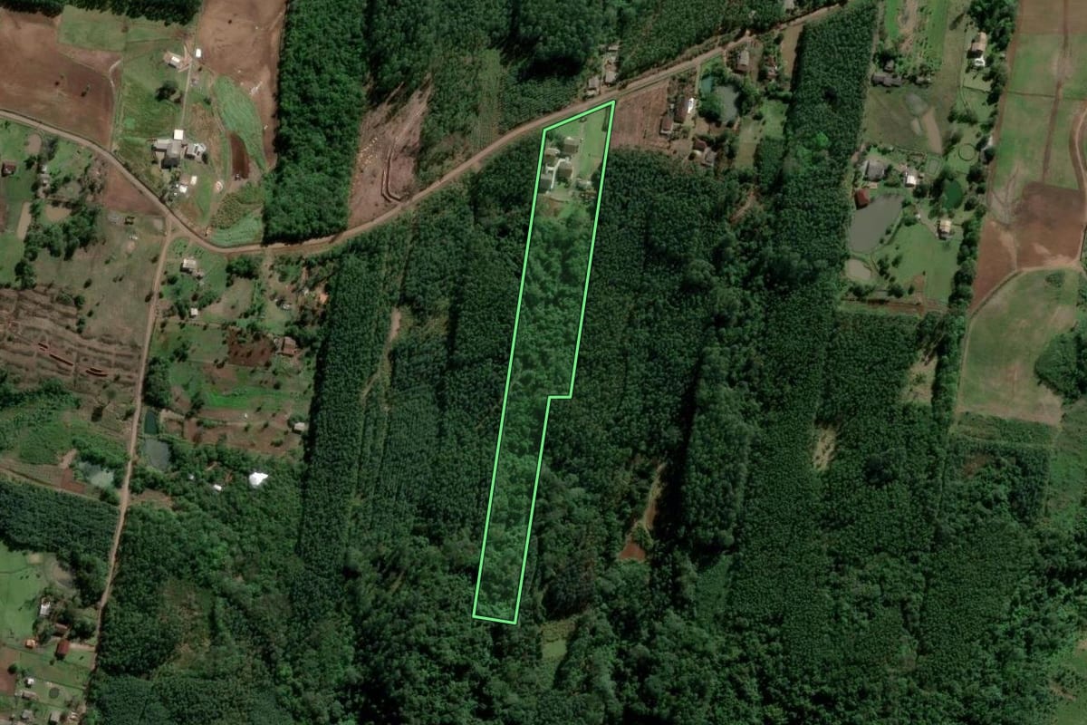 Imagem de satélite do imóvel rural em Estância Velha (RS), com o contorno declarado no CAR desenhado por cima.