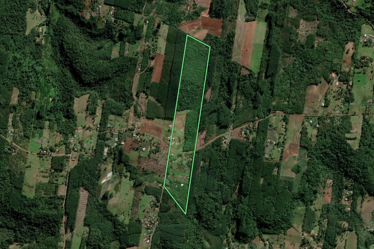 Imagem de satélite do imóvel rural em Estância Velha (RS), com o contorno declarado no CAR desenhado por cima.