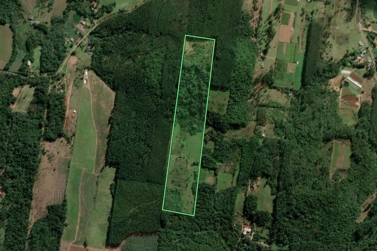 Imagem de satélite do imóvel rural em Estância Velha (RS), com o contorno declarado no CAR desenhado por cima.