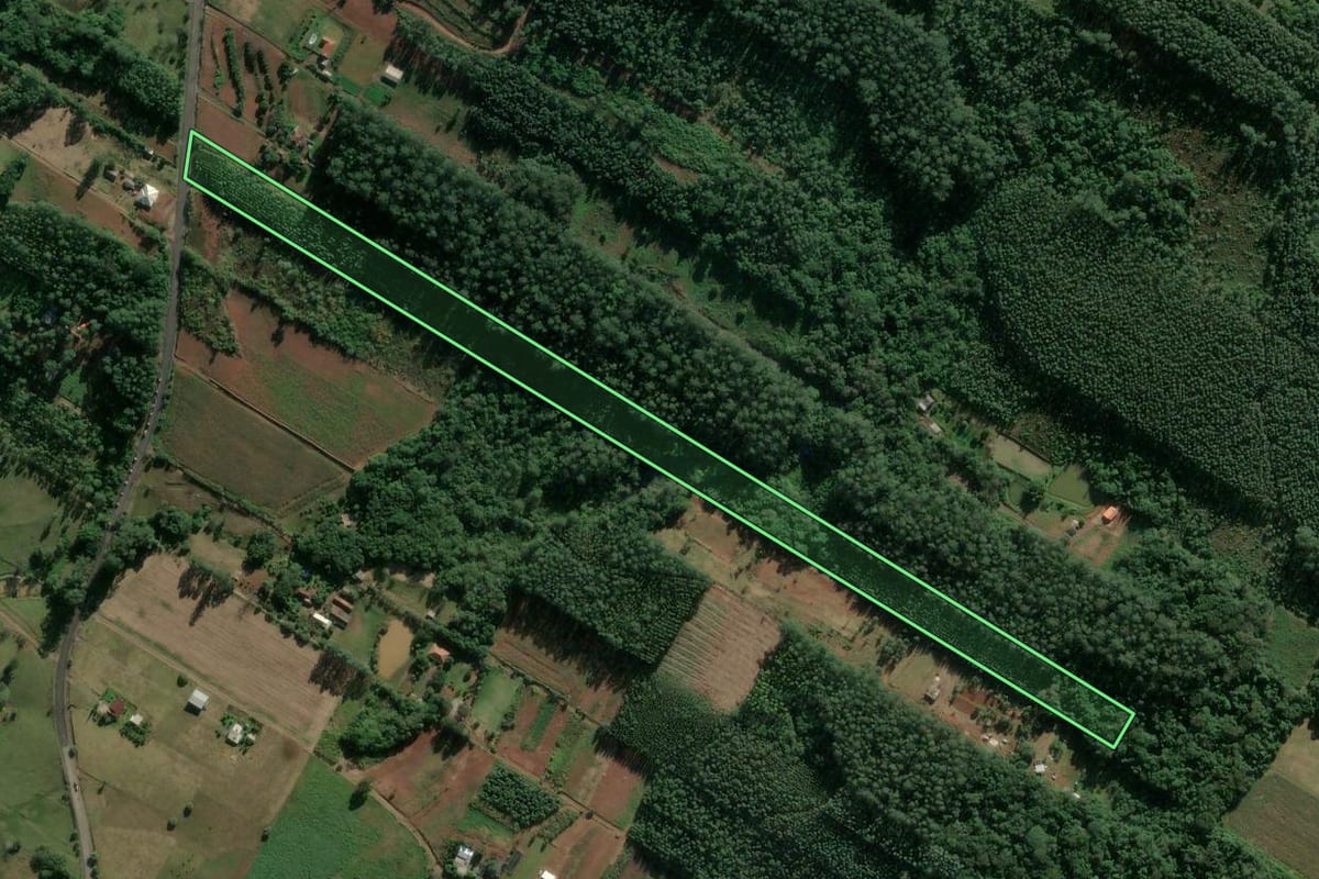Imagem de satélite do imóvel rural em Estrela (RS), com o contorno declarado no CAR desenhado por cima.