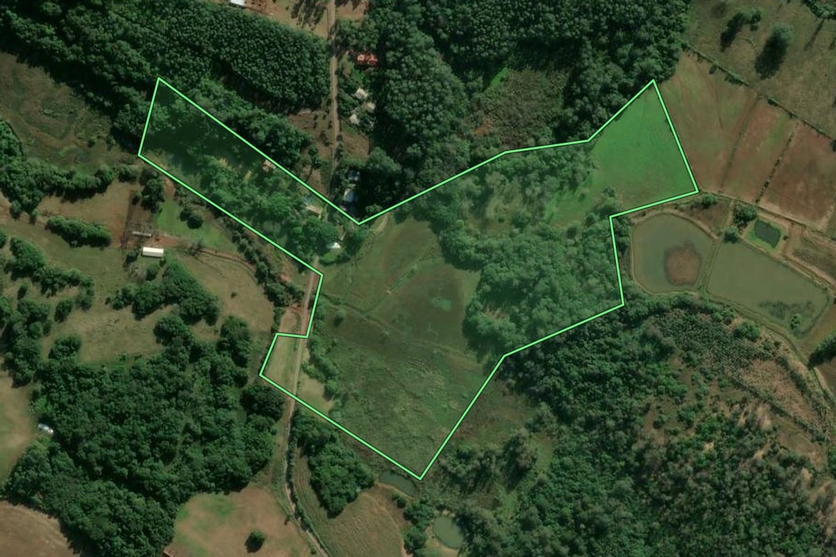 Imagem de satélite do imóvel rural em Estrela (RS), com o contorno declarado no CAR desenhado por cima.