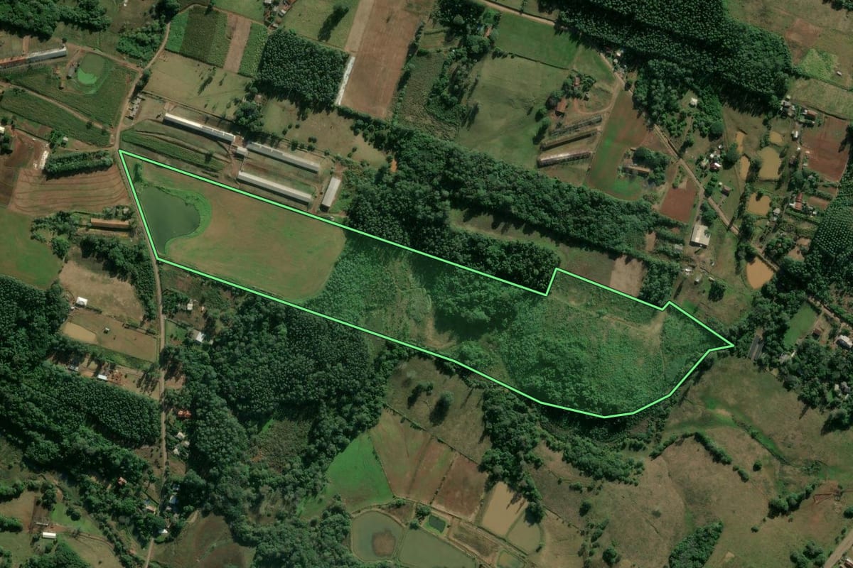 Imagem de satélite do imóvel rural em Estrela (RS), com o contorno declarado no CAR desenhado por cima.
