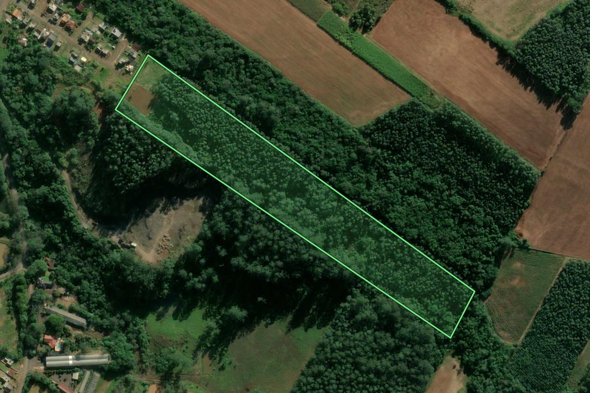Imagem de satélite do imóvel rural em Estrela (RS), com o contorno declarado no CAR desenhado por cima.