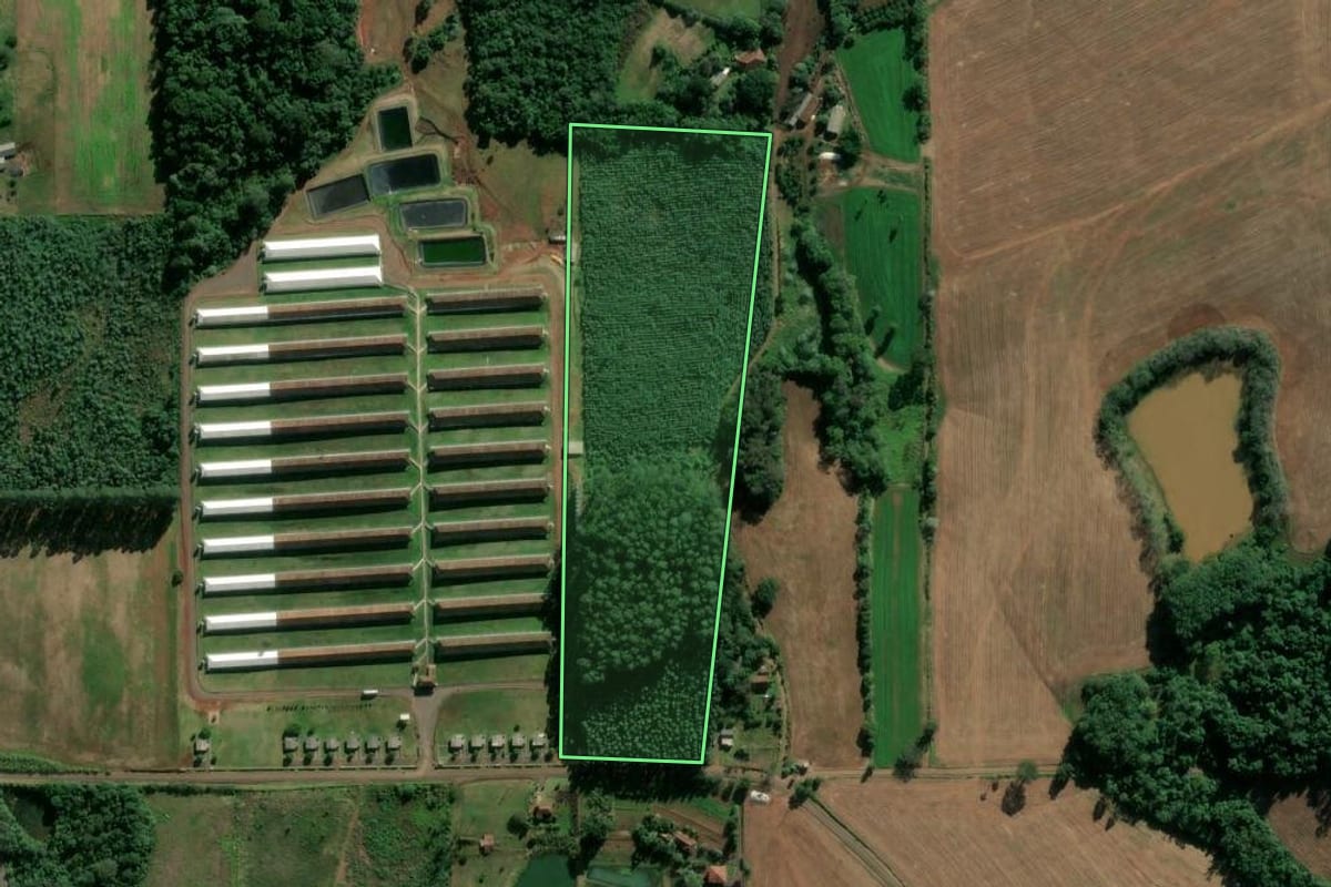 Imagem de satélite do imóvel rural em Estrela (RS), com o contorno declarado no CAR desenhado por cima.