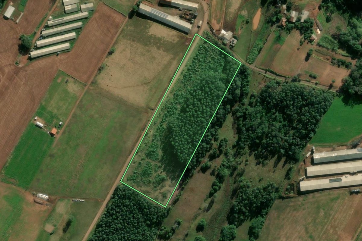 Imagem de satélite do imóvel rural em Estrela (RS), com o contorno declarado no CAR desenhado por cima.