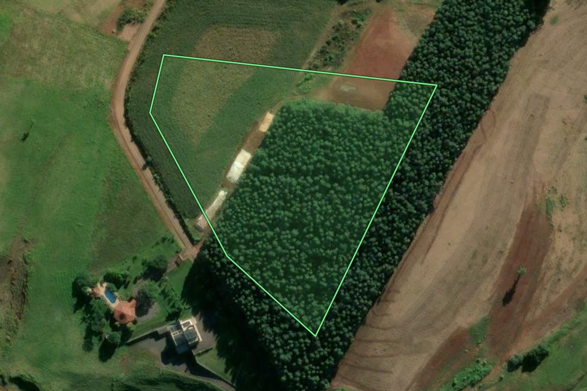 Imagem de satélite do imóvel rural em Estrela (RS), com o contorno declarado no CAR desenhado por cima.
