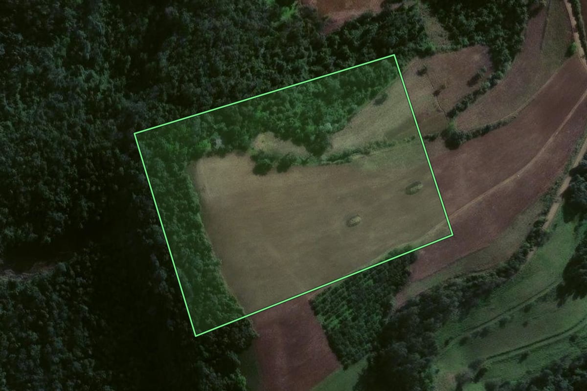 Imagem de satélite do imóvel rural em Estrela Velha (RS), com o contorno declarado no CAR desenhado por cima.