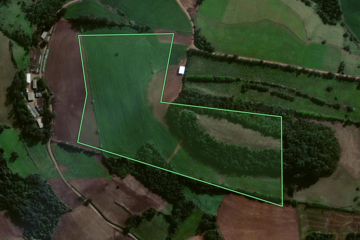 Imagem de satélite do imóvel rural em Estrela Velha (RS), com o contorno declarado no CAR desenhado por cima.